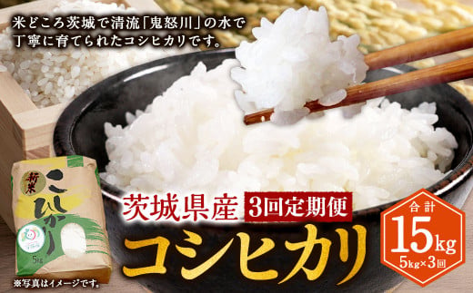 【3ヶ月定期便】コシヒカリ 5kg 計15kg 米 お米 ご飯 ごはん