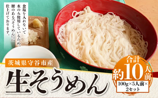 生そうめん 100g×5人前×2セット | そうめん 10人前 10食 セッ