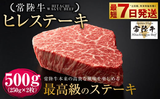 【常陸牛】ヒレステーキ 250g×2枚 | 計500g 牛肉 肉 お肉 ヒレ