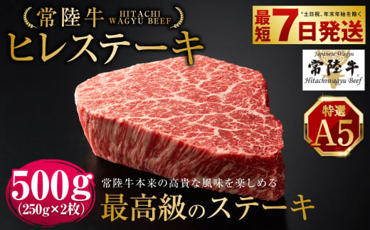 【常陸牛特選A5】ヒレステーキ250g×2枚 | 計500g 牛肉 肉 お肉