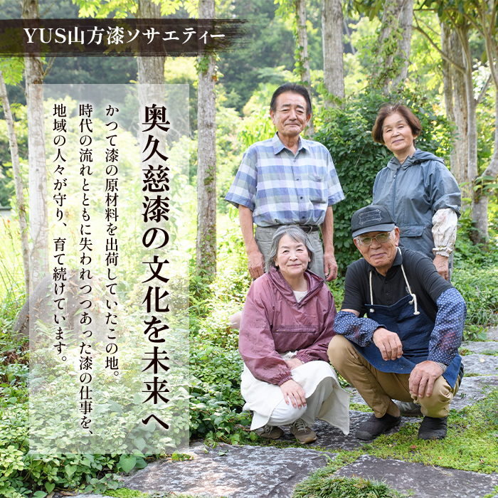 拭き漆箸セット 檜葉 ヒバ 4膳 はし 奥久慈漆 木 ギフト 茨城県 木製 箸 セット 木製箸 和 食器 和風 カトラリー 天然木使用 シンプル 日本製 【YUS山方漆ソサエティー】【ho0884】