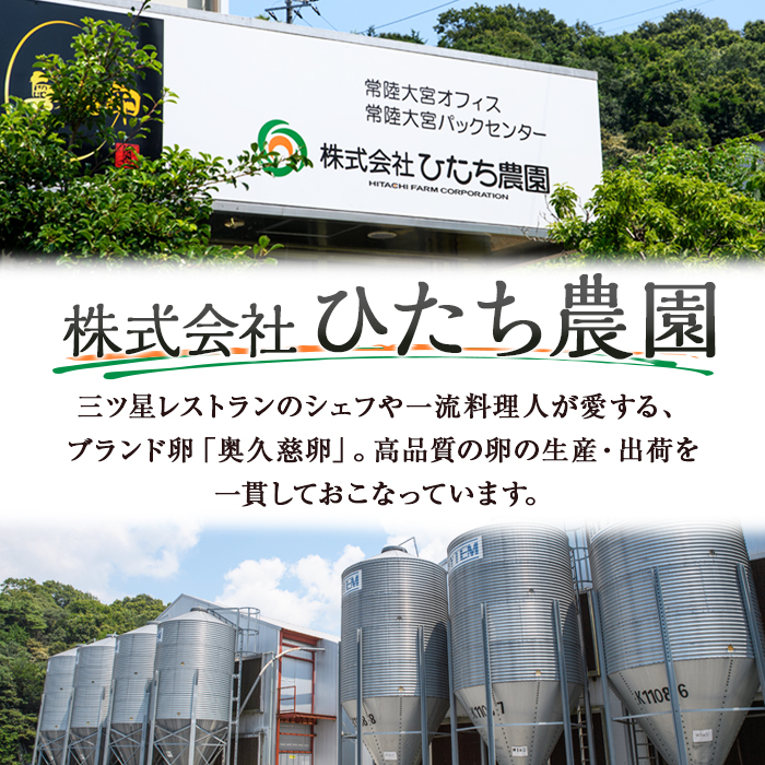 三ツ星レストランや一流料理人が愛するブランド卵『奥久慈卵』赤 30個 たまご タマゴ 鶏卵 玉子 卵 ミネラル 冷蔵便 茨城県 新鮮 臭みのないおいしい卵 赤卵 食品 普段使い用 パック包装 産地直送 養鶏場直送 こだわり卵 安全 【ひたち農園】【ho1312】