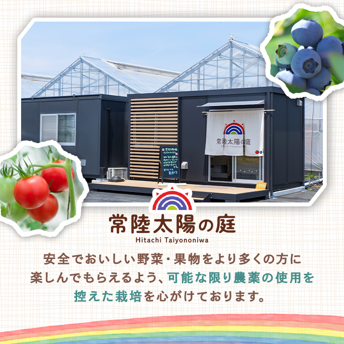 フルーツトマトジュース 180ml 5本入り トマトジュース トマト ジュース 無塩 常温 常温保存 【常陸太陽の庭】【ho1372】