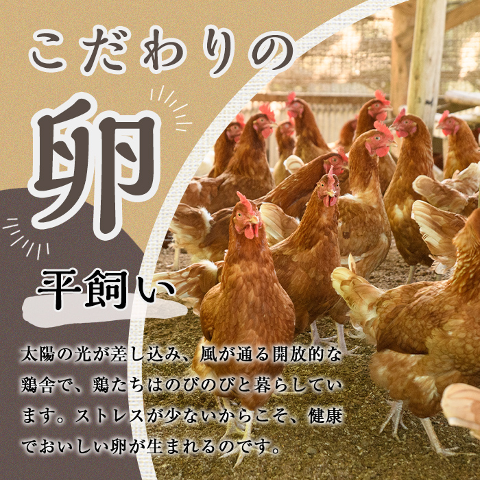 環の花 平飼い有精卵プリン 12個 スイーツ お菓子 濃厚 新鮮 国産 ぷりん 冷蔵 おやつ デザート たまご 贈り物 グルメ プレゼント 洋菓子 プリン スイーツギフト 詰め合わせ 誕生日 内祝い 【環の花】【ho1394】