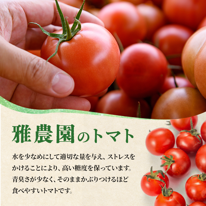 雅農園大玉トマト4パック トマト 野菜 とまと やさい 新鮮 産地直送 【雅農園】【ho1429】