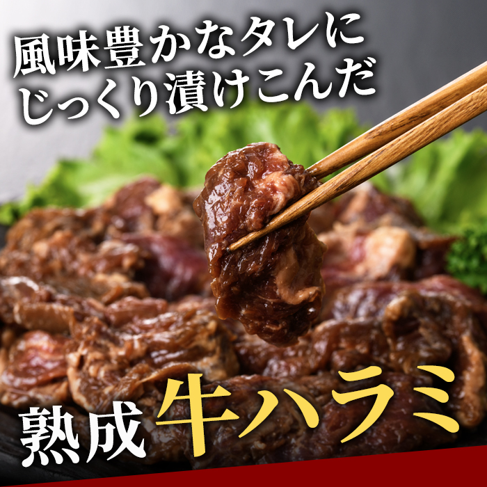 熟成牛ハラミ 2kg (250g×8パック) たれ 味付 小分け 冷凍 焼肉 焼き肉 牛 牛肉 ビーフ ハラミ BBQ 【そうざい男しゃく（株式会社池延）】【ho1469】