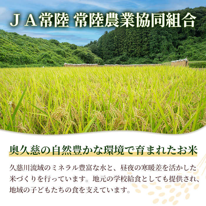 常陸大宮産 コシヒカリ 5kg 米 お米 新米 令和7年 精米 白米 こめ コメ ご飯 ごはん コシヒカリ こしひかり 5kg 5キロ 【常陸農業協同組合】【ho1574】
