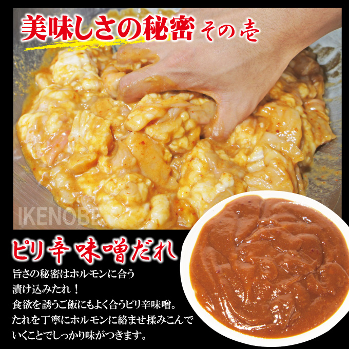 牛白ホルモンミックス ピリ辛味噌だれ 1kg(250g×4パック) 冷凍 小分け ホルモン 味噌 たれ 味付 焼肉 焼き肉 肉 牛 牛肉 おかず おつまみ 【そうざい男しゃく（株式会社池延）】【ho1598】