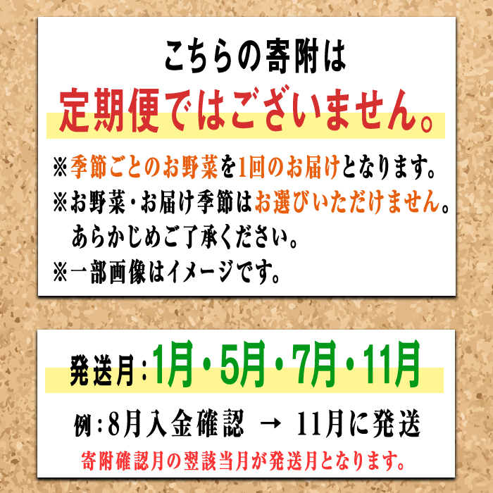 コトコトファーム 旬の有機栽培野菜セット 野菜 セット 有機JAS 詰め合わせ 国産 旬 季節 おまかせ お楽しみ 冷蔵 【コトコトファーム】【ho1602】