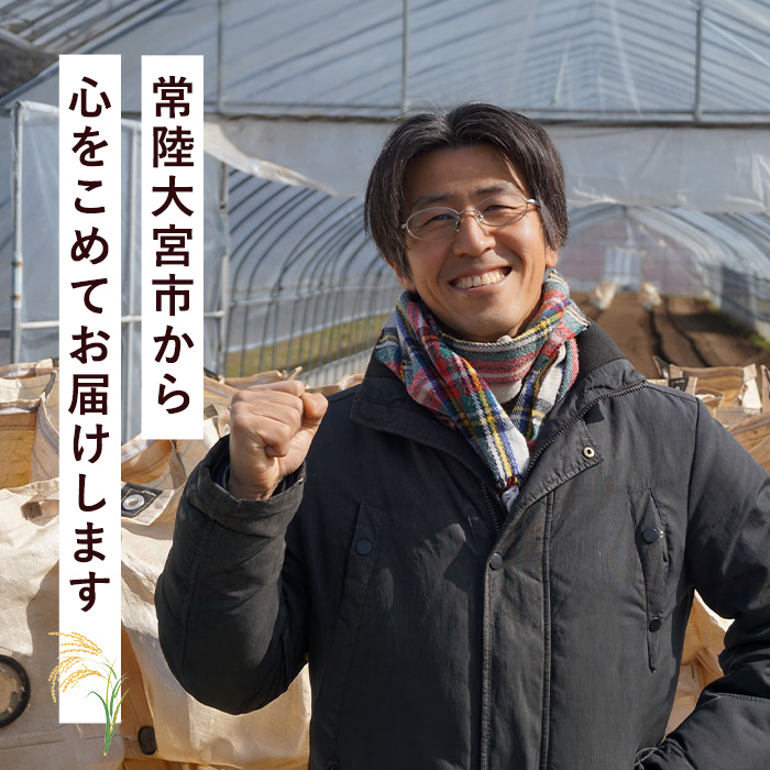 ＜先行予約受付中！2026年9月下旬以降順次発送予定＞ 2026年度産 茨城県 常陸大宮市産 コシヒカリ 5kg 米 白米 精米 おこめ ご飯 国産米 農家直送 5キロ こしひかり【常陸大宮さんち農園】【ho1654】