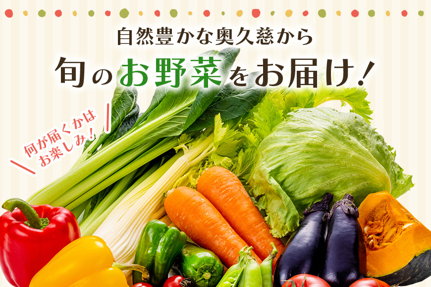 新鮮 奥久慈産 旬の野菜詰め合わせ 季節 セット 茨城県 特産 野菜セット 詰め合わせ 国産 旬 お試し おまかせ お楽しみ 野菜 採れたて 美味しい 直送 【元気な郷づくり株式会社】【ho0871】