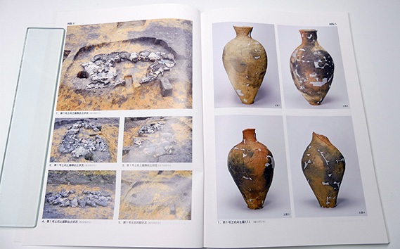 宿尻遺跡 1冊 弥生時代 報告書 壺形土器 茨城県 【常陸大宮市教育委員会事務局文化スポーツ課】【ho1309】