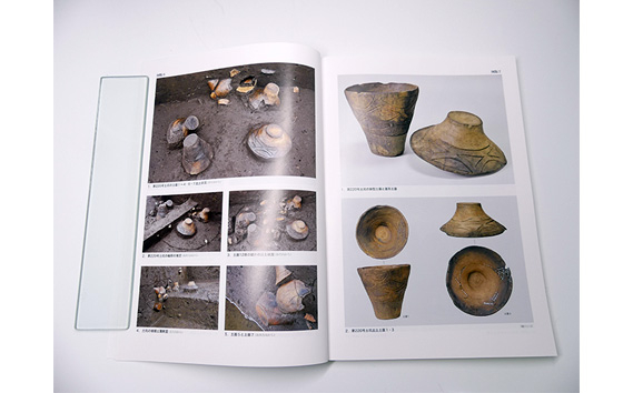 泉坂下遺跡7 1冊 弥生時代 報告書 発掘調査 茨城県 【常陸大宮市教育委員会事務局文化スポーツ課】【ho1313】