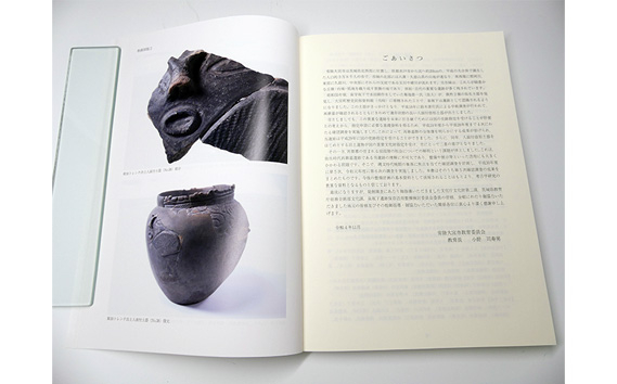 泉坂下遺跡6 1冊 弥生時代 報告書 発掘調査 茨城県 【常陸大宮市教育委員会事務局文化スポーツ課】【ho1314】