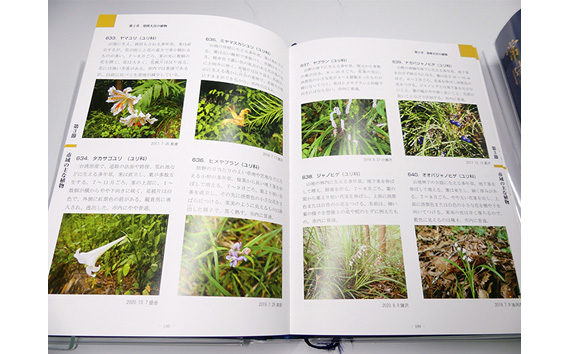 常陸大宮市史 別編2 自然 1冊 近世 藩と村 生業 災害 信仰 茨城県 【常陸大宮市教育委員会事務局文化スポーツ課】【ho1318】