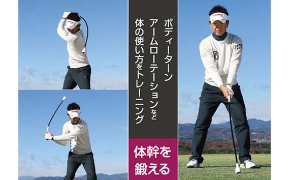 タバタ Tabata トルネードスティックショートタイプ ハード GV0232SH 練習 ゴルフ トレーニング ボディーターン アームローテーション 室内 茨城県 【テンポイント（株）】【ho1323】