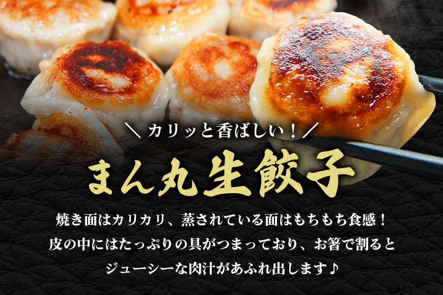 まん丸生餃子冷凍30g×18個入り（1pac 6個入り） 【そうざい男しゃく（株式会社池延）】【ho1437】