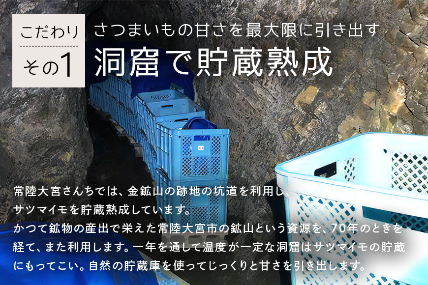 【予約受付中！】常陸大宮さんち農園 どうくつ熟成の干し芋 900g 常陸大宮 さつまいも サツマイモ 干し芋 常温 ＜2026年1月20日以降順次発送＞ 【常陸大宮さんち】【ho1445】