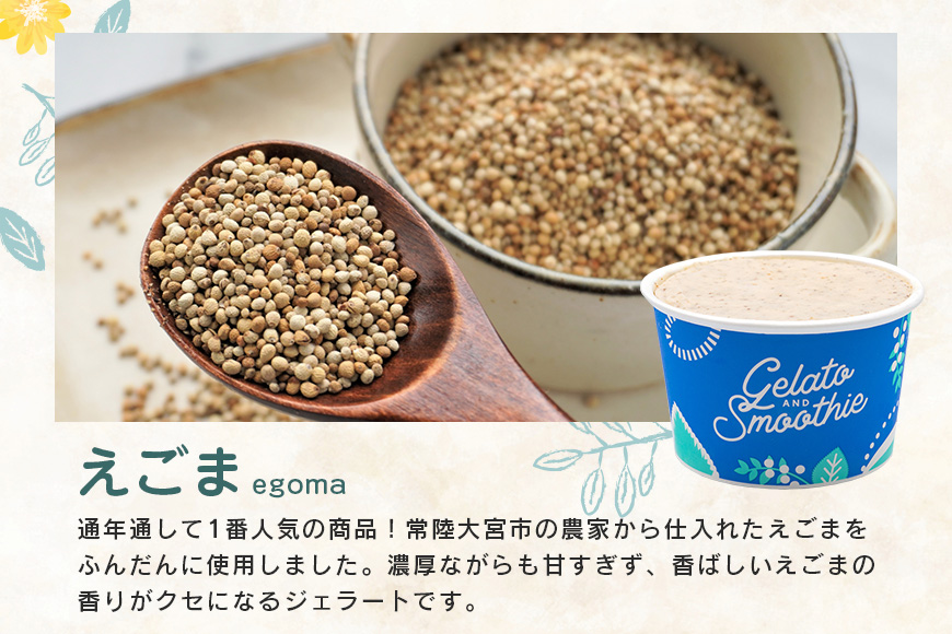 Gelato＆Smoothie えごまジェラート 6個 スイーツ アイス おやつ デザート えごま 【元気な郷づくり（株）】【ho1381】