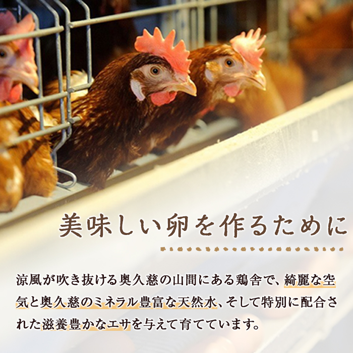 三ツ星レストランや一流料理人が愛するブランド卵『奥久慈卵』赤 30個 たまご タマゴ 鶏卵 玉子 卵 ミネラル 冷蔵便 茨城県 新鮮 臭みのないおいしい卵 赤卵 食品 普段使い用 パック包装 産地直送 養鶏場直送 こだわり卵 安全 【ひたち農園】【ho1312】