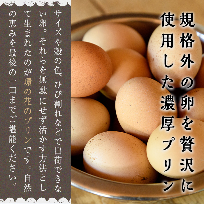 環の花 平飼い有精卵プリン 12個 3ヶ月定期便 スイーツ お菓子 濃厚 新鮮 国産 ぷりん 冷蔵 おやつ デザート たまご 贈り物 グルメ プレゼント 洋菓子 プリン スイーツギフト 詰め合わせ 誕生日 内祝い 定期便 【環の花】【ho1395】