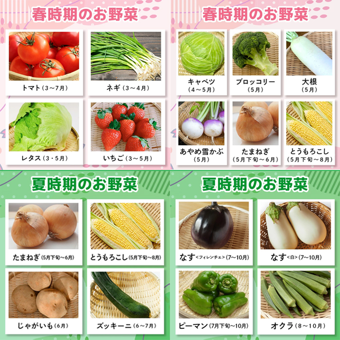 【産地直送】季節の奥久慈野菜 詰め合せセット（春、夏、秋、冬） 野菜 野菜セット 季節 セット 特産 詰め合わせ 国産 旬 おまかせ お楽しみ 直送 【常陸大宮5Hクラブ】【ho1483】