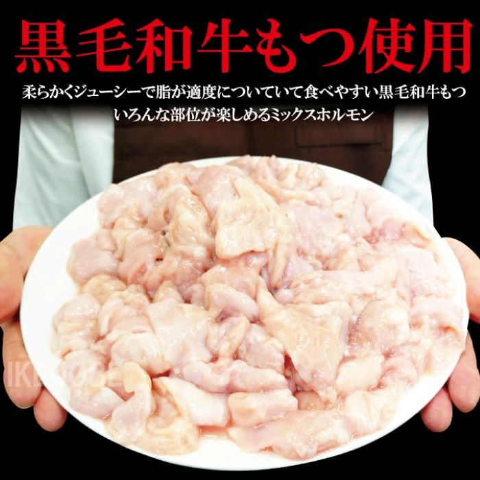 黒毛和牛熟成やわらかミックスたれ漬けホルモン焼 直営焼肉店の味3kg[250g×12P] 牛肉 黒毛和牛 和牛 ホルモン ミックス 熟成 たれ漬け タレ 味付け肉 焼肉 小分け 惣菜 おかず 弁当 冷凍 【そうざい男しゃく（株式会社池延）】 【ho1493】