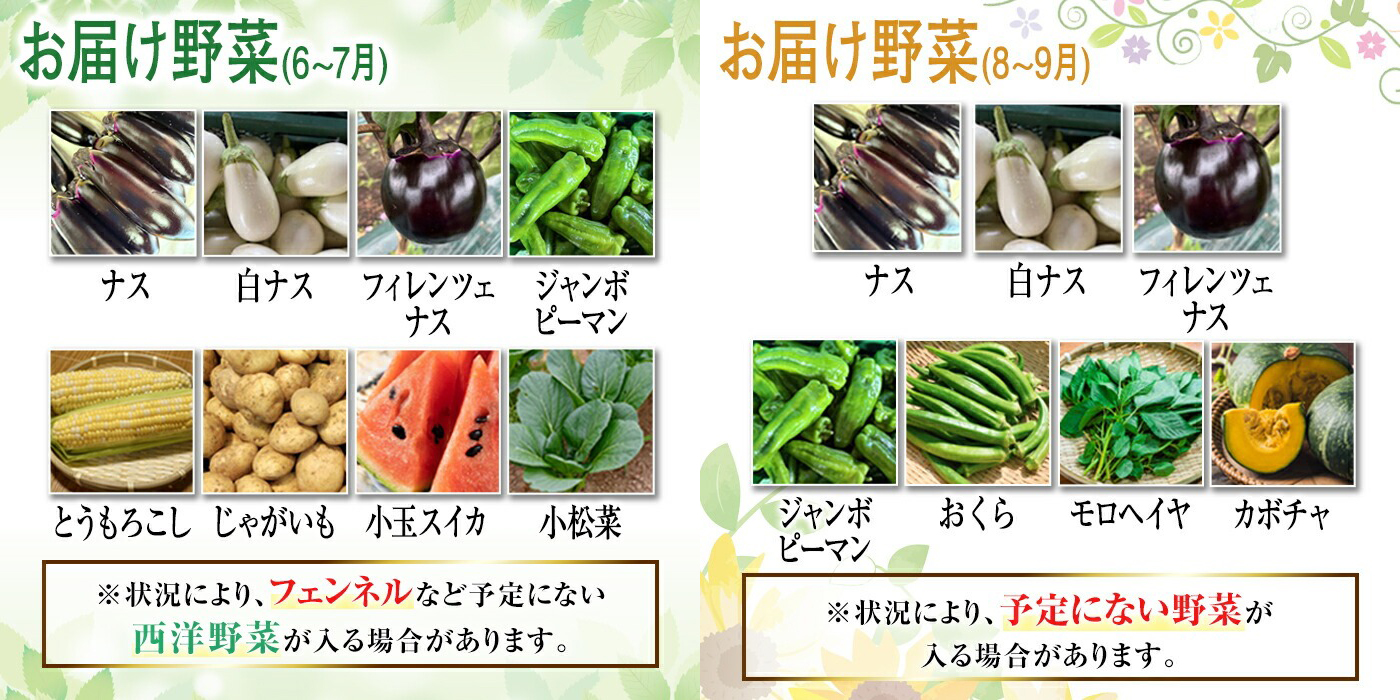 季節毎の新鮮野菜セット 野菜 野菜セット セット 詰め合わせ 国産 旬 季節 おまかせ お楽しみ 冷蔵 【あさねぼう】【ho1537】