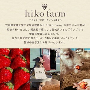【先行予約】ごほうびいちご（厳選とちおとめ）2パック入り（12～28粒）黒パッケージ いちご イチゴ 苺 とちおとめ フルーツ 果物 くだもの デザート 【hiko farm（ヒコファーム）】 【ho1571】