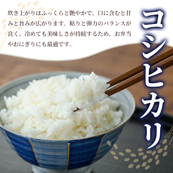 常陸大宮産 コシヒカリ 5kg 米 お米 新米 令和7年 精米 白米 こめ コメ ご飯 ごはん コシヒカリ こしひかり 5kg 5キロ 【常陸農業協同組合】【ho1574】