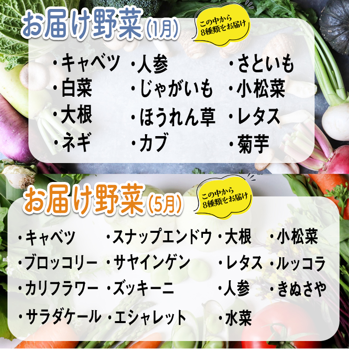 コトコトファーム 旬の有機栽培野菜セット 野菜 セット 有機JAS 詰め合わせ 国産 旬 季節 おまかせ お楽しみ 冷蔵 【コトコトファーム】【ho1602】