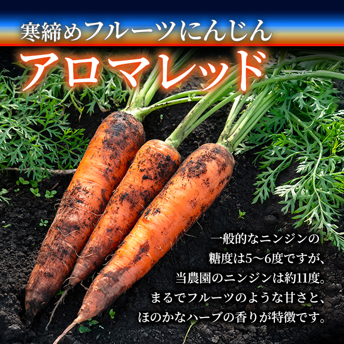 寒締めフルーツにんじん 10kg ニンジン にんじん 有機野菜 有機 オーガニック JAS やさい 野菜 常温 常温保存 【株式会社レインボーフューチャー】【ho1604】