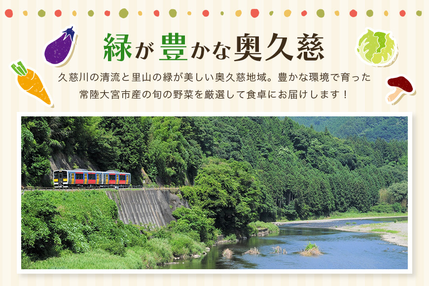 新鮮 奥久慈産 旬の野菜詰め合わせ 季節 セット 茨城県 特産 野菜セット 詰め合わせ 国産 旬 お試し おまかせ お楽しみ 野菜 採れたて 美味しい 直送 【元気な郷づくり株式会社】【ho0871】