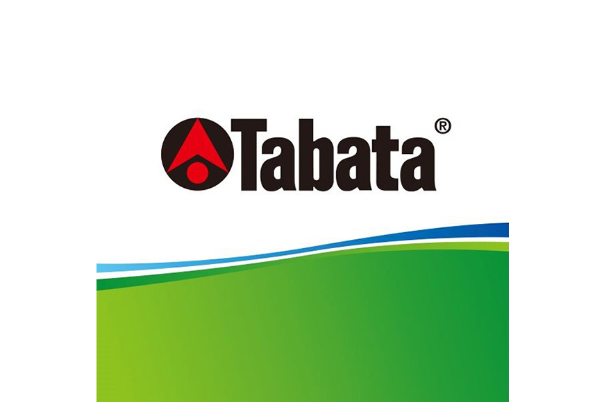 タバタ Tabata 段付ティー ST40mm GV1416×5個セット ゴルフ ゴルフ用品 ティー ゴルフティ ショートティー Golf Tee ツアーティー TOUR TEE ゴルフティー スポーツ 茨城県 【テンポイント（株）】【ho1359】