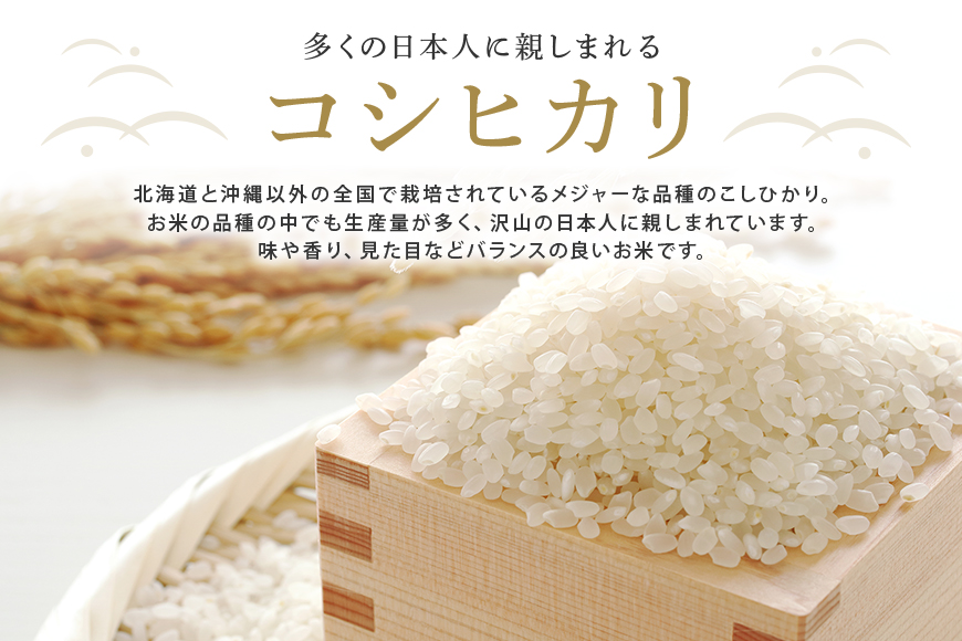 常陸大宮産 コシヒカリ 5kg 特選限定米 白米 精米 おこめ ご飯 国産米 お米ギフト ブランド米 贈答用 人気のお米 美味しいお米 【一般財団法人常陸大宮市観光物産協会】【ho1396】