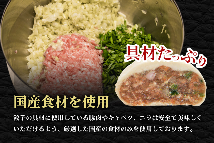 まん丸生餃子冷凍30g×18個入り（1pac 6個入り） 【そうざい男しゃく（株式会社池延）】【ho1437】