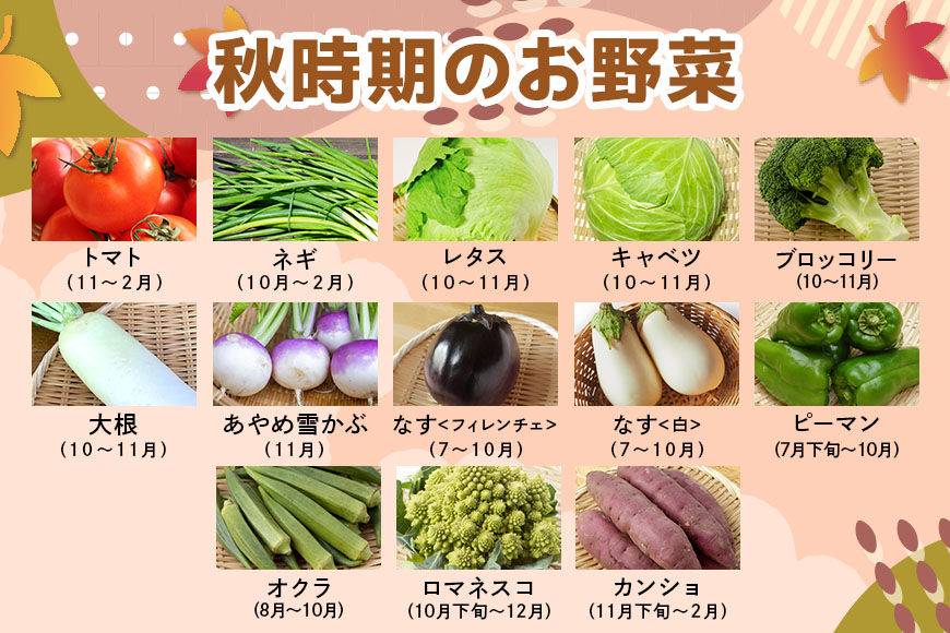 【産地直送】季節の奥久慈野菜 詰め合せセット（春、夏、秋、冬） 野菜 野菜セット 季節 セット 特産 詰め合わせ 国産 旬 おまかせ お楽しみ 直送 【常陸大宮5Hクラブ】【ho1483】