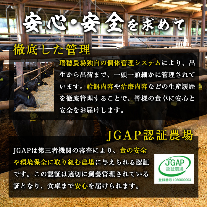 瑞穂農場で育てた常陸牛ロース、ヒレステーキセット 約970g ヒレ ロース 牛肉 ブランド牛 常陸牛 A4 A5 茨城県 A4ランク A5ランク 冷凍配送 焼肉 国産 ステーキ BBQ バーベキュー 和牛 ステーキ肉 贈答用 贈り物 ギフト 牛丼 肉 冷凍 【株式会社フロンティアロード】【ho0924】