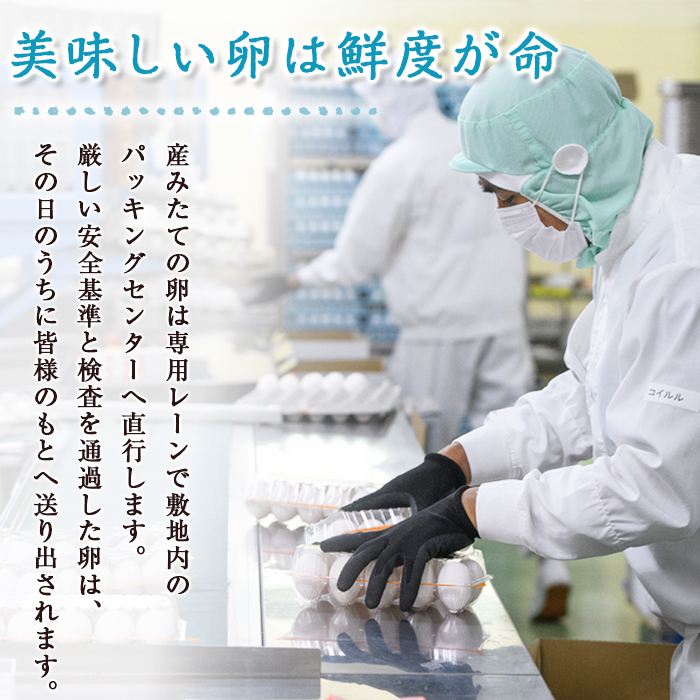 三ツ星レストランや一流料理人が愛するブランド卵『奥久慈卵』 赤 90個 たまご タマゴ ミネラル 茨城県 【ひたち農園】【ho1319】