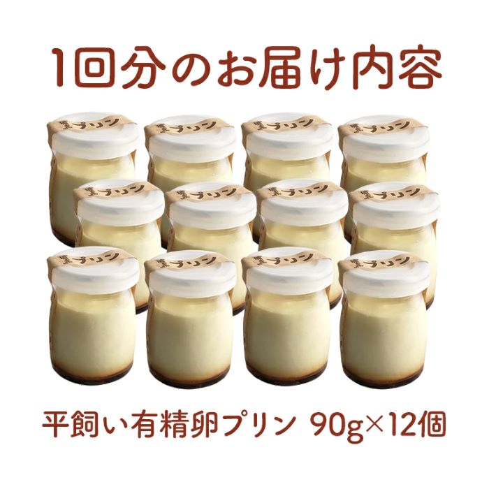 環の花 平飼い有精卵プリン 12個 3ヶ月定期便 スイーツ お菓子 濃厚 新鮮 国産 ぷりん 冷蔵 おやつ デザート たまご 贈り物 グルメ プレゼント 洋菓子 プリン スイーツギフト 詰め合わせ 誕生日 内祝い 定期便 【環の花】【ho1395】