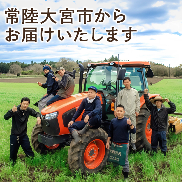 特選ブロッコリー 3kg 小野瀬農園 【小野瀬農園】【ho1417】