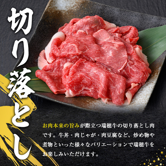 瑞穂牛切り落としセット 約4kg 【株式会社フロンティアロード】【ho1450】