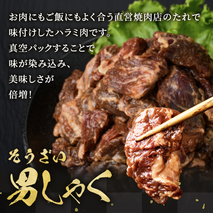 熟成牛ハラミ 3kg (250g×12パック) たれ 味付 小分け 冷凍 焼肉 焼き肉 牛 牛肉 ビーフ ハラミ BBQ 【そうざい男しゃく（株式会社池延）】【ho1470】