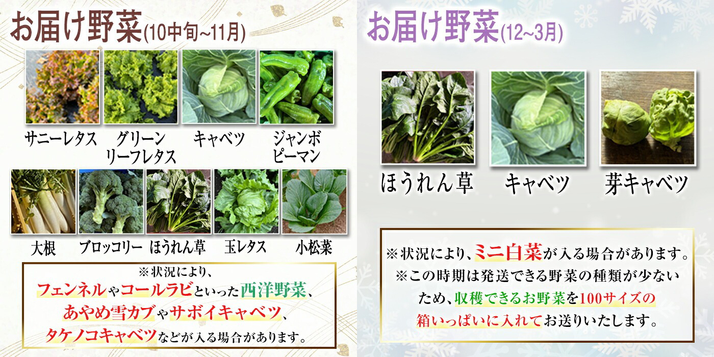季節毎の新鮮野菜セット 野菜 野菜セット セット 詰め合わせ 国産 旬 季節 おまかせ お楽しみ 冷蔵 【あさねぼう】【ho1537】