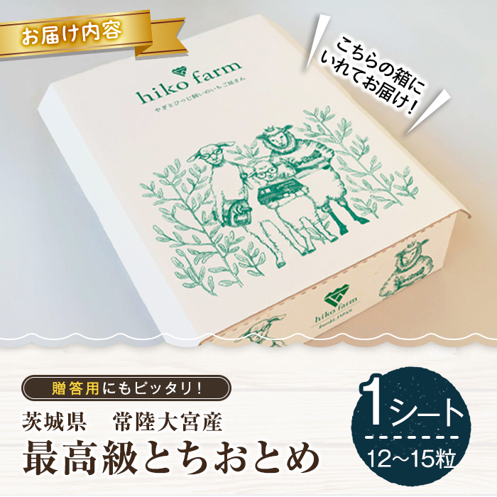 【先行予約】いちごのおくりもの（最高級とちおとめ）１シート（12～15粒） いちご イチゴ 苺 とちおとめ フルーツ 果物 くだもの デザート 【hiko farm（ヒコファーム）】【ho1569】