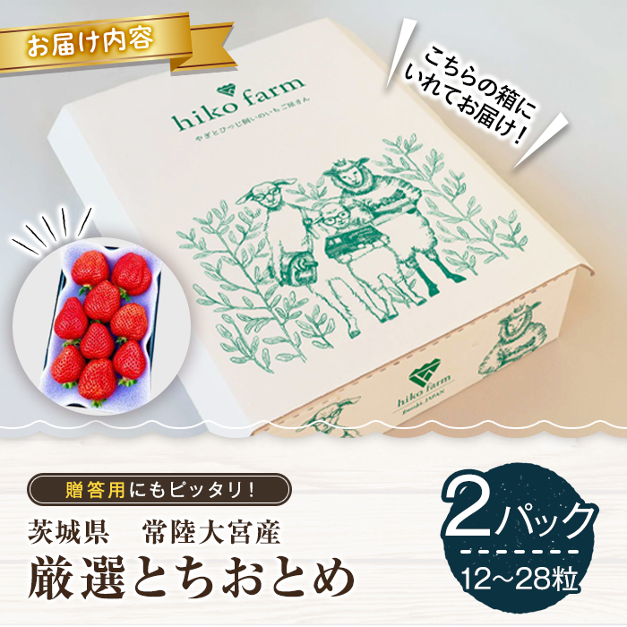 【先行予約】ごほうびいちご（厳選とちおとめ）2パック入り（12～28粒）黒パッケージ いちご イチゴ 苺 とちおとめ フルーツ 果物 くだもの デザート 【hiko farm（ヒコファーム）】 【ho1571】