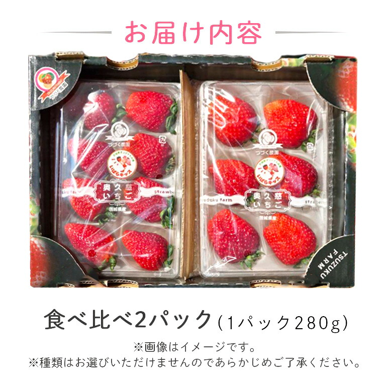 【先行予約】大粒いちごセット 280g×2パック イチゴ 苺フルーツ 果物 くだもの デザート 【つづく農園】【ho1573】