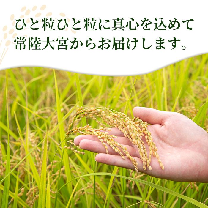 常陸大宮産 コシヒカリ 5kg 米 お米 新米 令和7年 精米 白米 こめ コメ ご飯 ごはん コシヒカリ こしひかり 5kg 5キロ 【常陸農業協同組合】【ho1574】