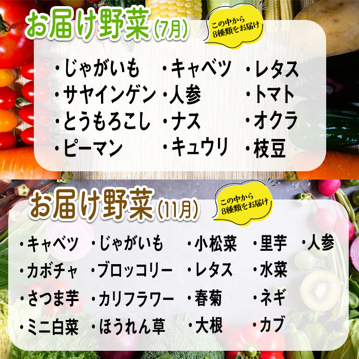 コトコトファーム 旬の有機栽培野菜セット 野菜 セット 有機JAS 詰め合わせ 国産 旬 季節 おまかせ お楽しみ 冷蔵 【コトコトファーム】【ho1602】