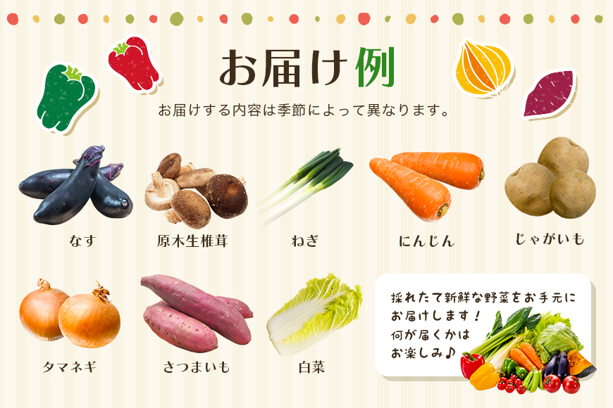 新鮮 奥久慈産 旬の野菜詰め合わせ 季節 セット 茨城県 特産 野菜セット 詰め合わせ 国産 旬 お試し おまかせ お楽しみ 野菜 採れたて 美味しい 直送 【元気な郷づくり株式会社】【ho0871】